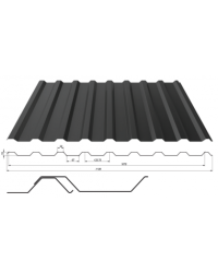 Profiliuota stogo danga T20