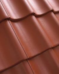 Betoninė čerpė vienbangė