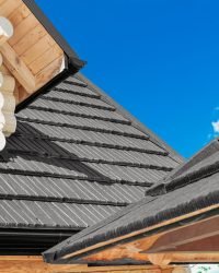 Malksnas primenantys lakštai Janosik