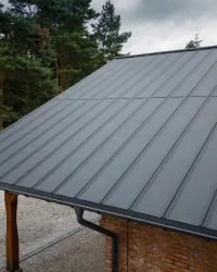 ZIPP plieninės stogo plokštės