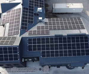 Trapecinė skarda T18